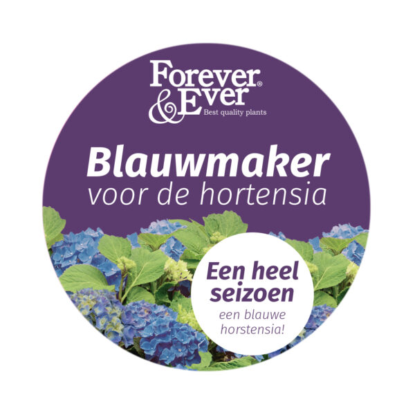 Forever & Ever Hortensia blauwmaker